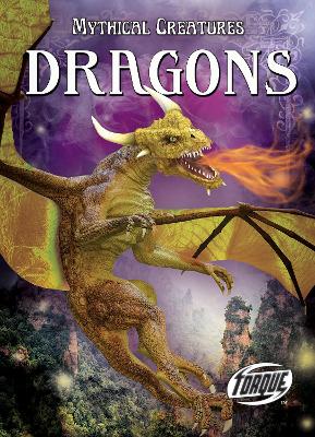 Dragons book