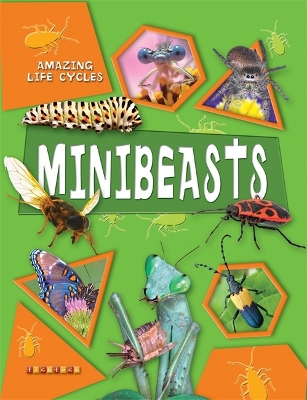 Amazing Life Cycles: Minibeasts book