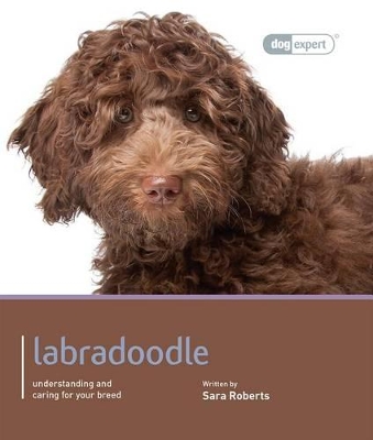 Labradoodle - Dog Expert book