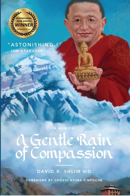 A Gentle Rain of Compassion by David R Shlim