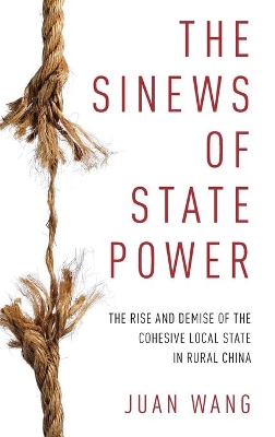 Sinews of State Power book