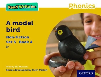 Read Write Inc. Phonics: Yellow Set 5 Non-fiction 4 A Model Bird book