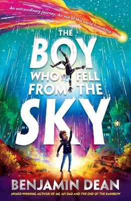 The Boy Who Fell From the Sky book