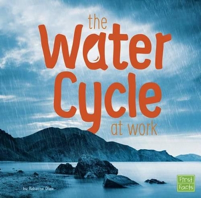 The The Water Cycle At Work by Rebecca Olien