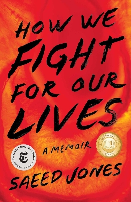 How We Fight for Our Lives: A Memoir book