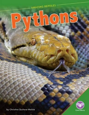 Pythons book