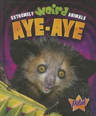 Aye-Aye book