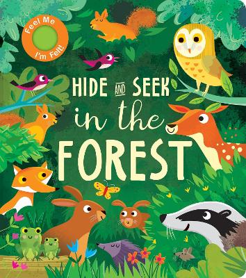 Hide and Seek In the Forest book