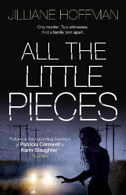 All the Little Pieces book