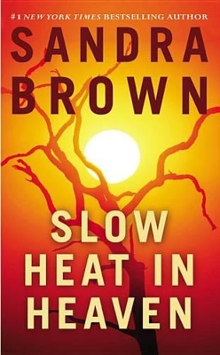 Slow Heat in Heaven book