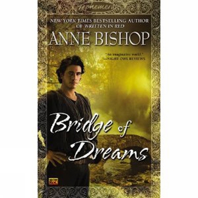 Bridge Of Dreams book