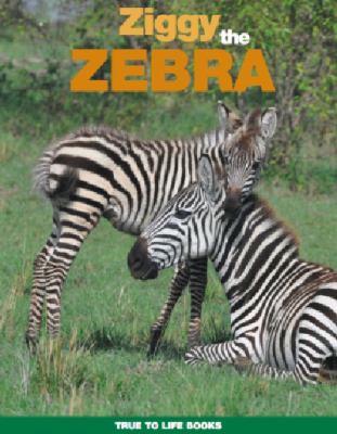 Adventures with Ziggy the Zebra book