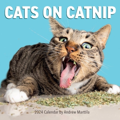 Cats on Catnip Wall Calendar 2024: A Year of Cats Living the High Life and Feeling Niiiiice by Andrew Marttila