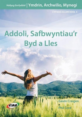 Ymdrin, Archwilio, Mynegi: Addoli, Safbwyntiau'r Byd a Lles book