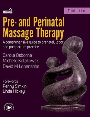 Pre- And Perinatal Massage Therapy: A Comprehensive Guide to Prenatal, Labor and Postpartum Practice book