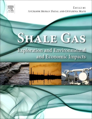 Shale Gas book