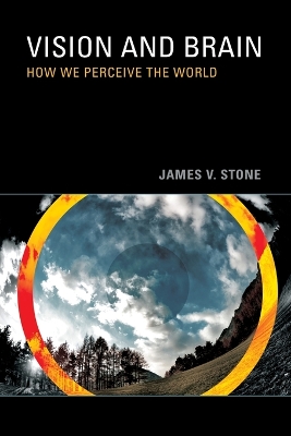 Vision and Brain book