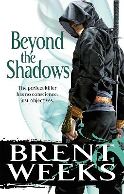 Beyond The Shadows book