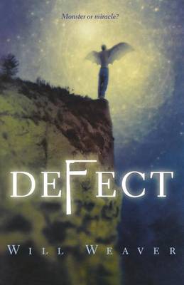 Defect book