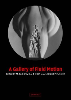 Gallery of Fluid Motion book