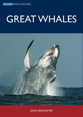 Great Whales book