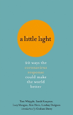 A Little Light: 20 ways the coronavirus response could make the world better book