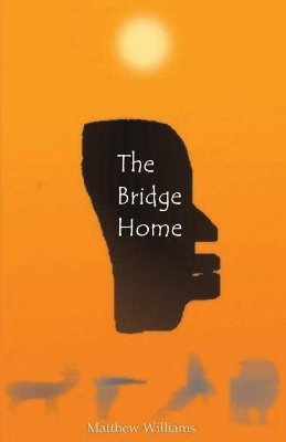 The Bridge Home book