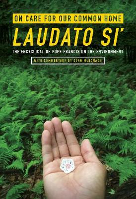On Care for Our Common Home, Laudato Si' book