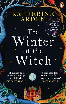 The Winter of the Witch book
