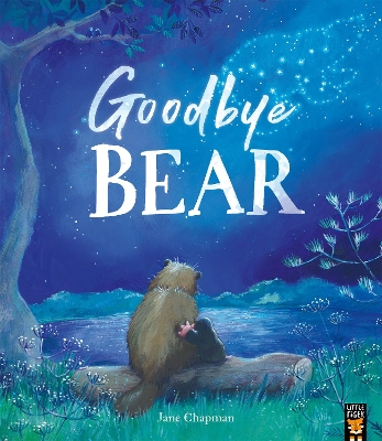 Goodbye Bear book