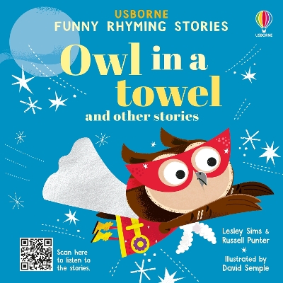 Owl in a towel and other stories by Lesley Sims