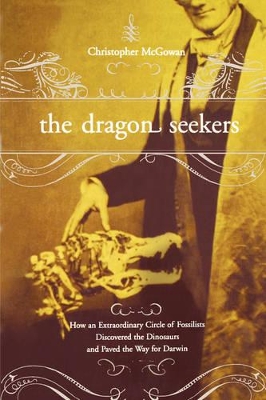 Dragon Seekers book