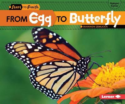 From Egg to Butterfly book