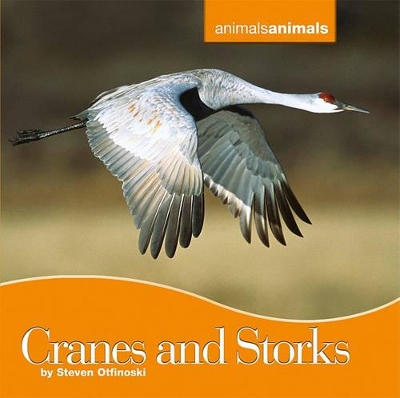 Cranes and Storks book