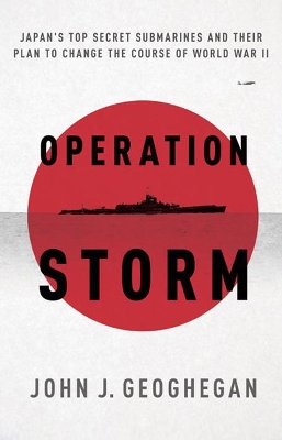 Operation Storm book