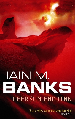 Feersum Endjinn by Iain M. Banks