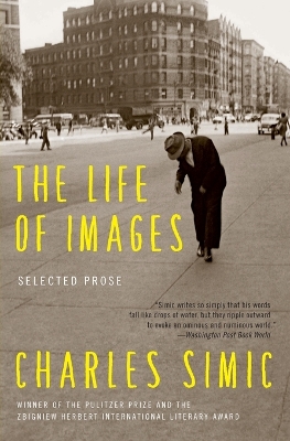 The Life of Images by Charles Simic