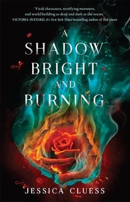 Shadow Bright and Burning, A book