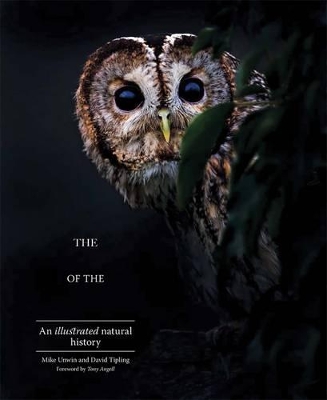 The Enigma of the Owl: An Illustrated Natural History book