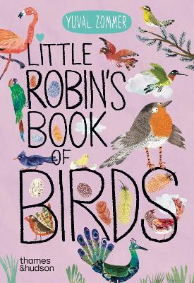 Little Robin's Book of Birds book