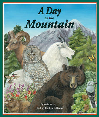 A Day on the Mountain book