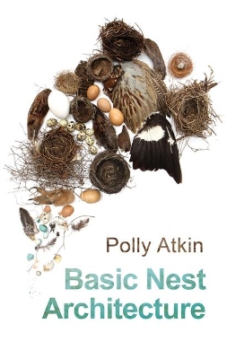 Basic Nest Architecture book