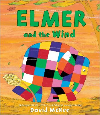 Elmer and the Wind book