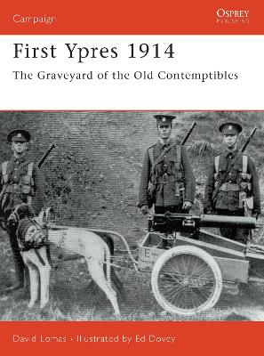 First Ypres, 1914 book