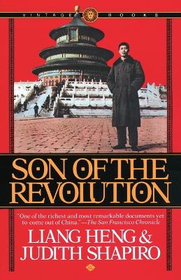 Son of the Revolution book