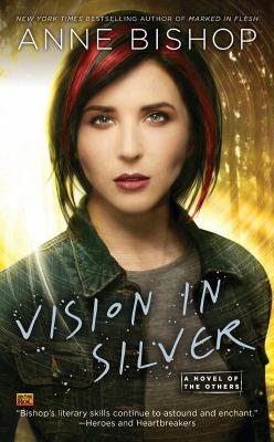 Vision In Silver book