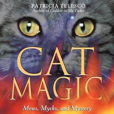 Cat Magic book