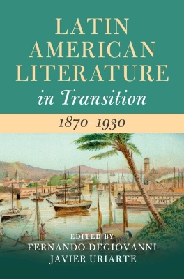Latin American Literature in Transition 1870–1930 book