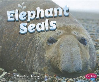 Elephant Seals book