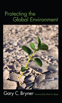 Protecting the Global Environment book